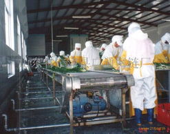 挑選機(jī)網(wǎng)帶 廣通網(wǎng)鏈與信息咨詢(xún)服務(wù)解析